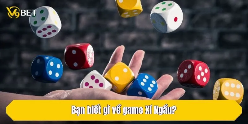 Bạn biết gì về game Xí Ngầu?