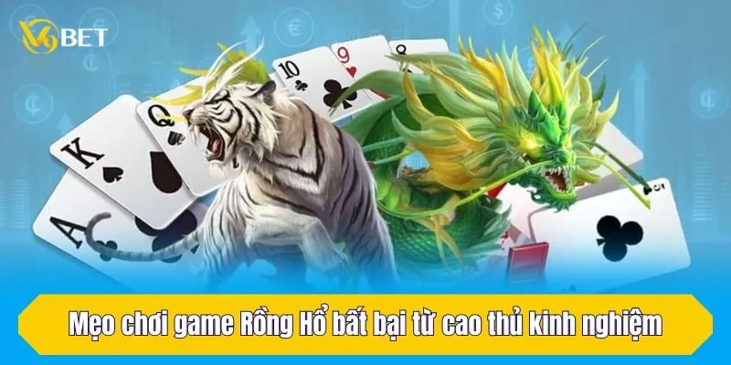 Mẹo chơi game Rồng Hổ bất bại từ cao thủ kinh nghiệm